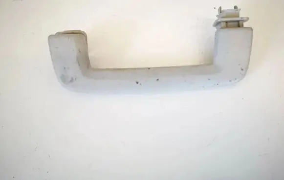 Ford Kuga I Front interior roof grab handle