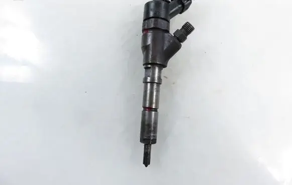 Peugeot Boxer Fuel injector 0445110076