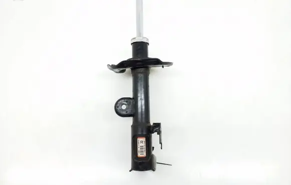 Toyota RAV 4 (XA40) Front shock absorber/damper 4851042361