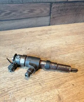 Citroen C3 Fuel injector