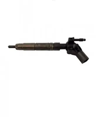 Mercedes-Benz R W251 Fuel injector A6420701387