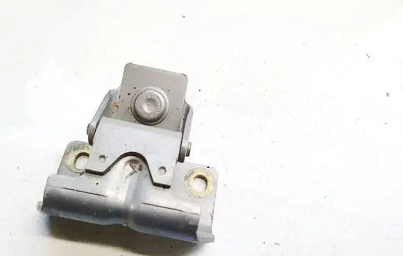 Peugeot 307 Tailgate/trunk/boot hinge