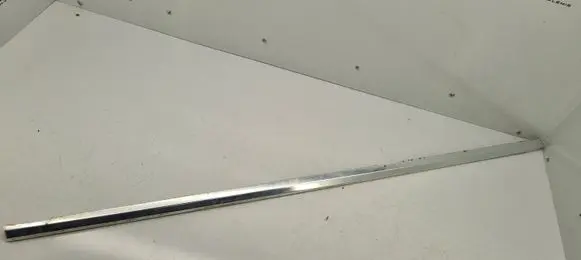 Rear door glass trim molding