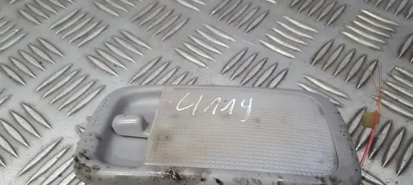 Toyota RAV 4 (XA20) Front seat light