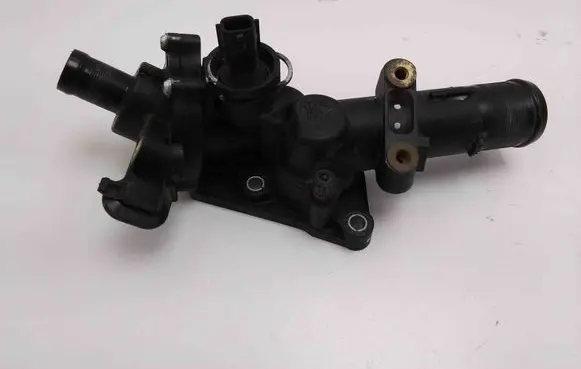 Nissan Qashqai Thermostat 110602770R