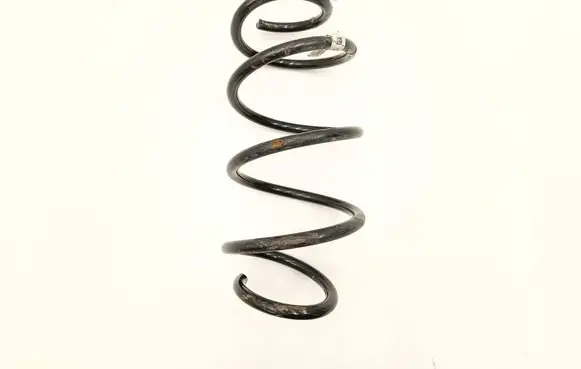 BMW X3 G01 Front coil spring 6884931