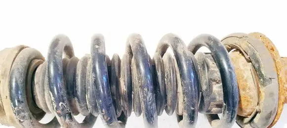 Rear coil spring