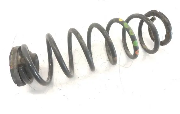 Rear coil spring