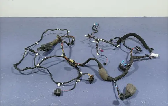 Other wiring loom