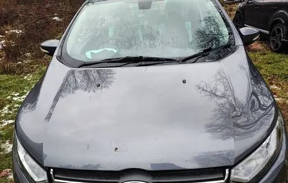 Engine bonnet/hood