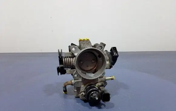 Mitsubishi Pajero Pinin Throttle body valve 