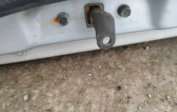 Hyundai Trajet Rear door check strap stopper