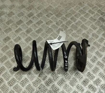 Tesla Model Y Rear coil spring 118847600B