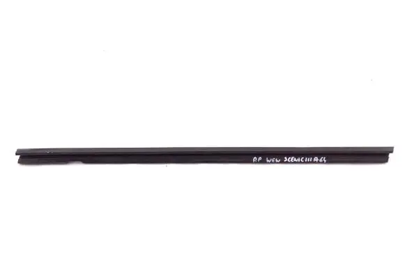 Renault Scenic III - Grand scenic III Front door glass trim molding 