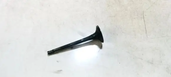 Volkswagen Tiguan Valve 