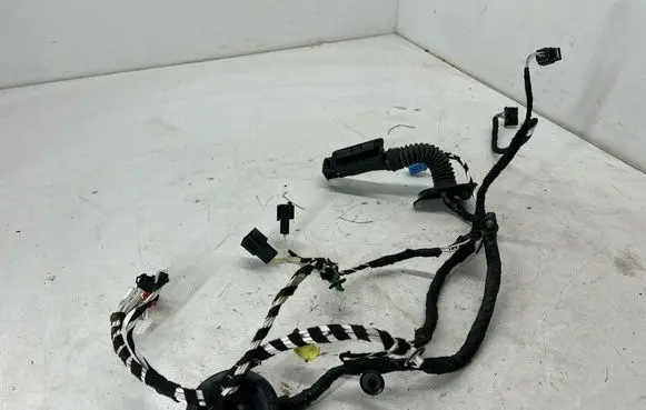 Volkswagen Tiguan Allspace Front door wiring loom 5NB971161S 71D1702
