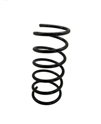 Rear coil spring