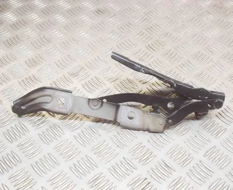 Tailgate/trunk/boot hinge