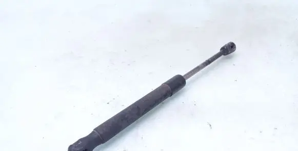 Tailgate strut