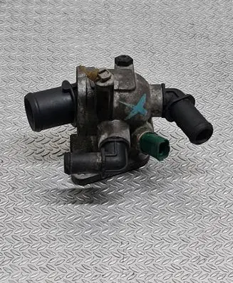 Thermostat/thermostat housing