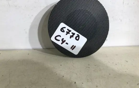 Panel speaker