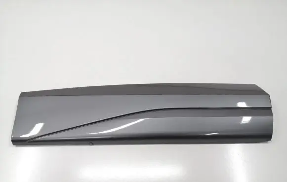 Cupra Formentor Rear door trim (molding) 5FF854950B