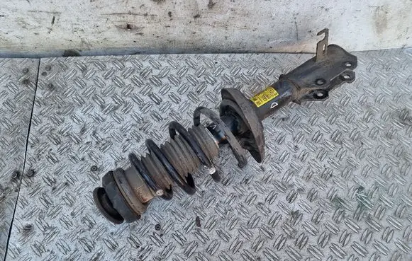 Opel Zafira C Front shock absorber with coil spring 13338924