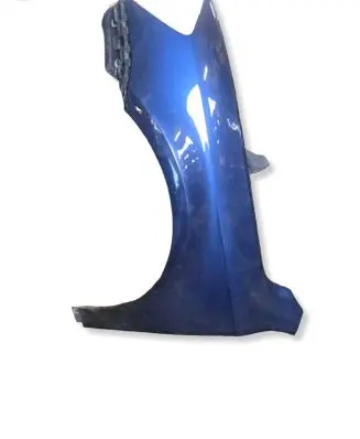 Volkswagen PASSAT B7 Fender 