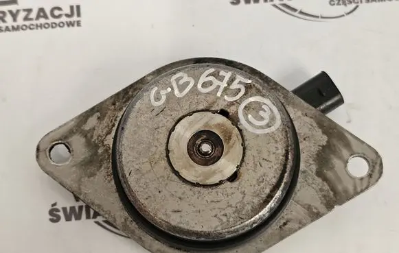 Opel Corsa E Camshaft pulley/ VANOS 55562223