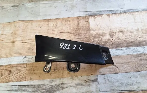 Rear/tail light trim molding