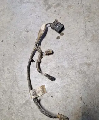 Other wiring loom