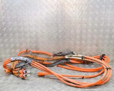 Porsche Cayenne (9Y0 9Y3) Other wiring loom 7P5971015B