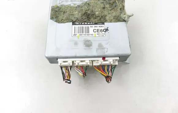 Hyundai Atos Prime Engine control unit/module 3911002743