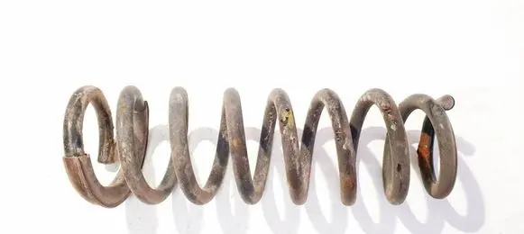 Rear coil spring