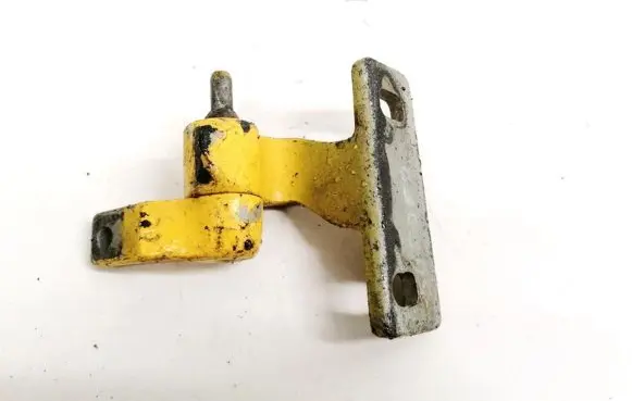 Rear door lower hinge