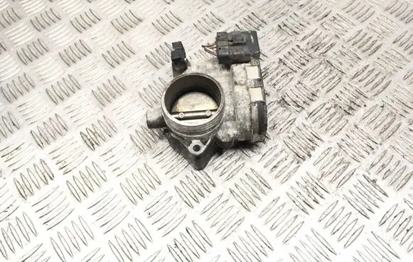 Throttle body valve