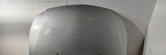 Engine bonnet/hood
