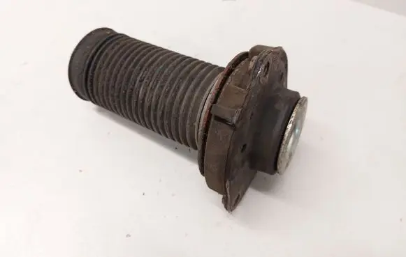 Coil spring mount