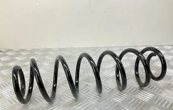 Rear coil spring