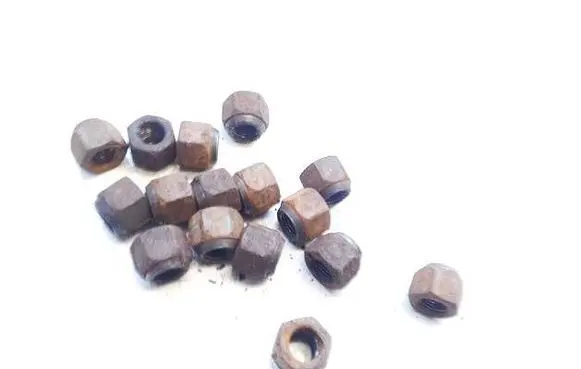 Nuts/bolts