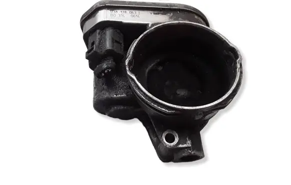 Skoda Roomster (5J) Throttle valve 038128063L B03140614