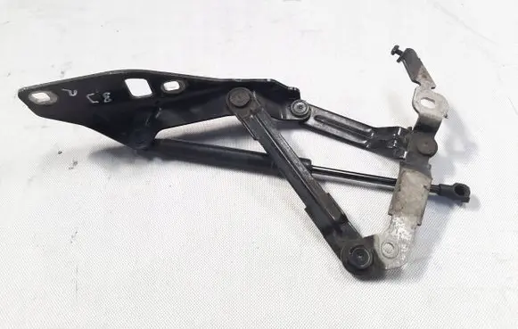 Audi TT TTS Mk2 Engine bonnet/hood hinges 8J0823302D