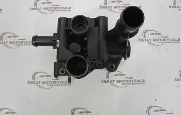 Thermostat/thermostat housing