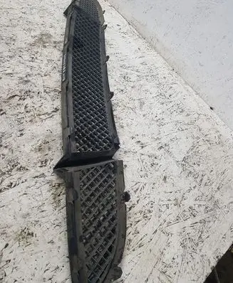 BMW 1 E81 E87 Front bumper lower grill