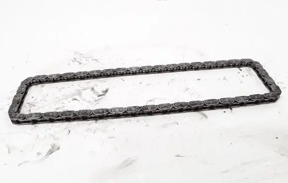 Ford Focus Slide rail for timing chain 