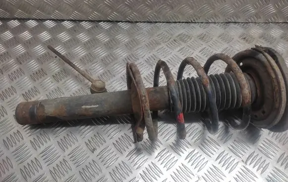 Peugeot 206 Front shock absorber with coil spring