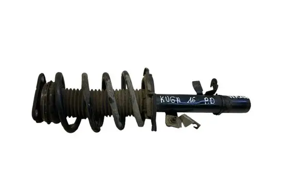 Ford Kuga II Front shock absorber with coil spring CV6118045DBB