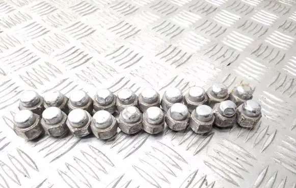 Nuts/bolts