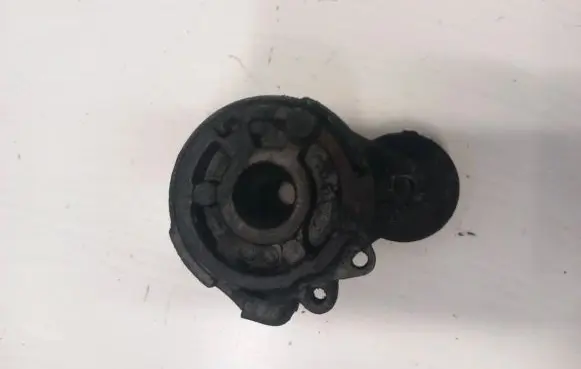 Fiat Punto (188) Generator/alternator belt tensioner