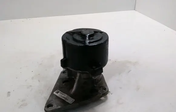 Citroen Berlingo Vacuum pump 724808110